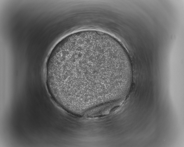 X0000103221519200809181453