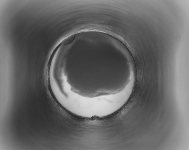 X0000103221522200809181453