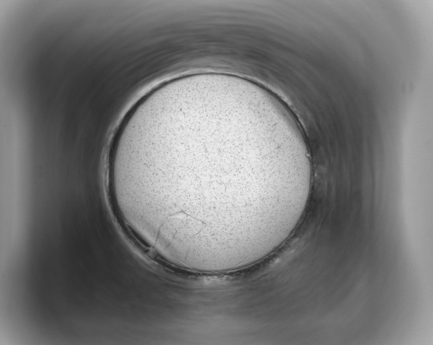 X0000103221523200809181453