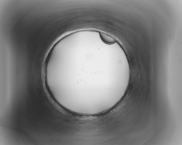 X0000103221526200809181453