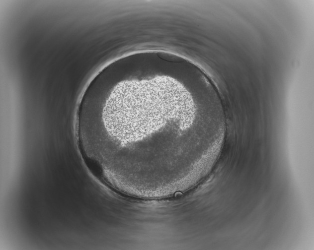 X0000103221527200809181453