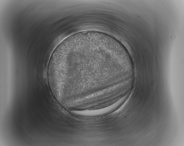 X0000103221529200809181453