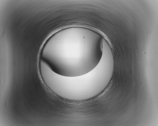 X0000103221530200809181453