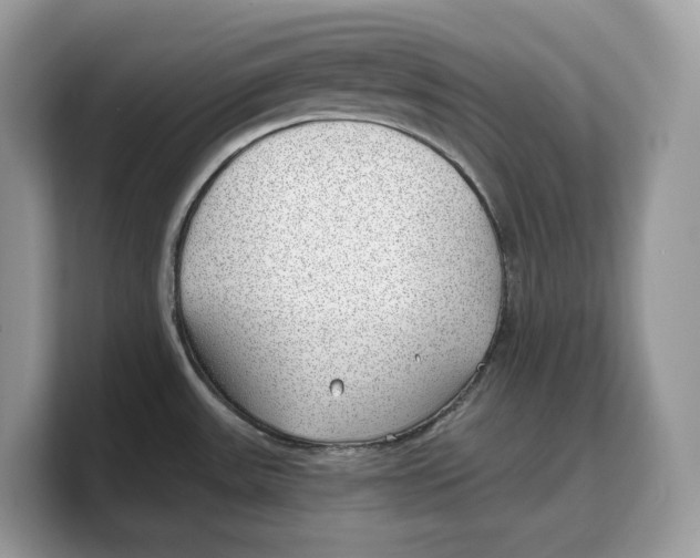 X0000103221531200809181453