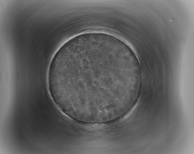 X0000103221533200809181453