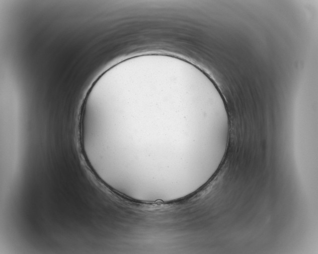 X0000103221534200809181453