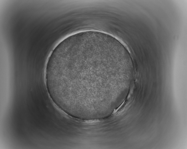 X0000103221535200809181453