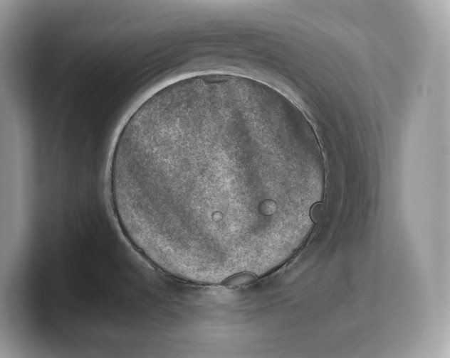 X0000103221536200809181453