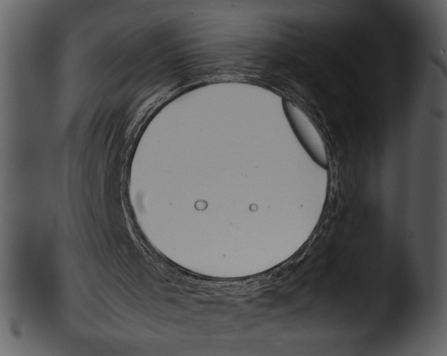 X0000103220001200809251147