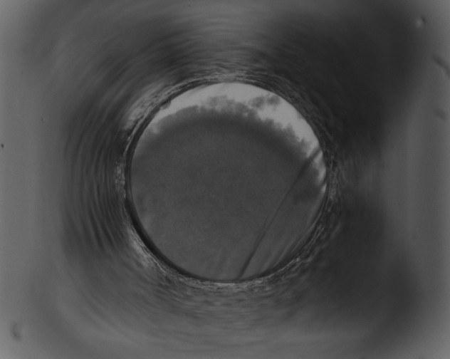 X0000103220002200809251147