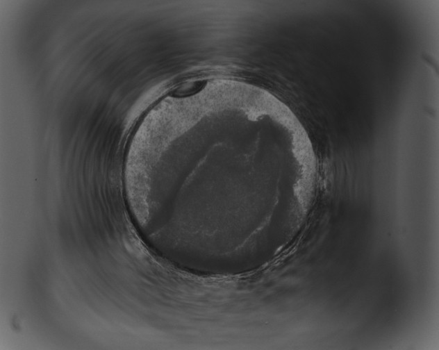 X0000103220004200809251147