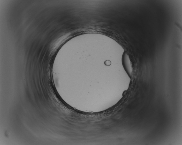 X0000103220005200809251147