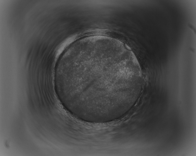 X0000103220006200809251146