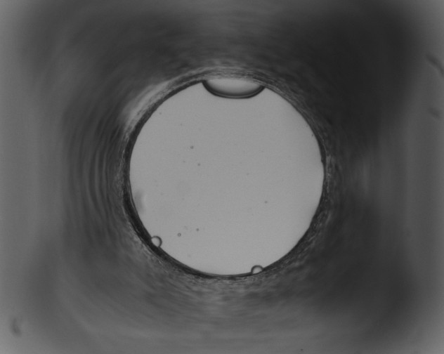 X0000103220007200809251146