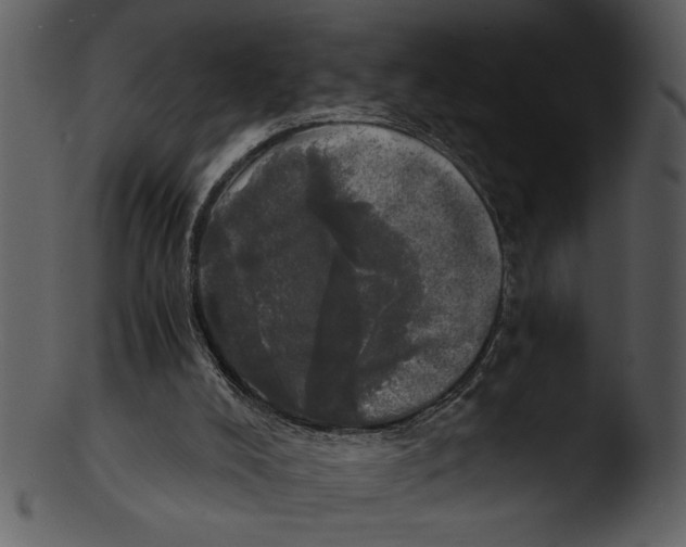 X0000103220008200809251146