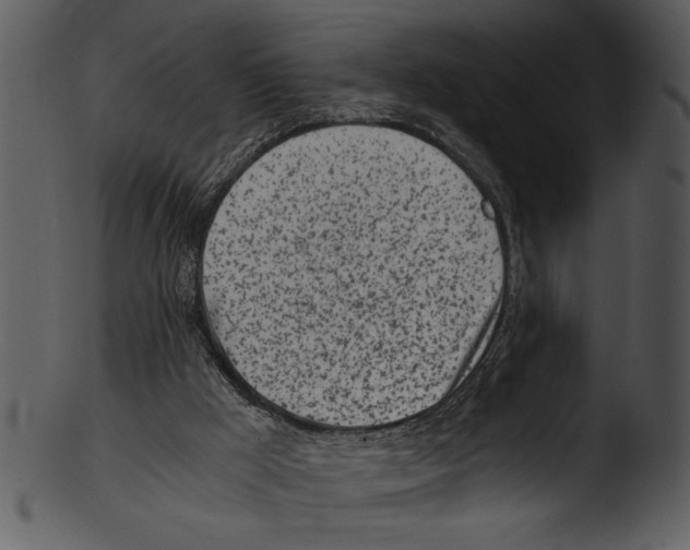 X0000103220009200809251146