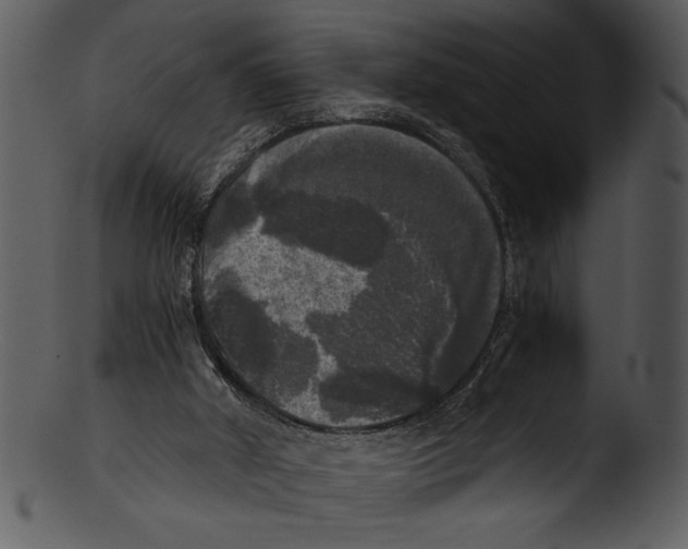 X0000103220010200809251146