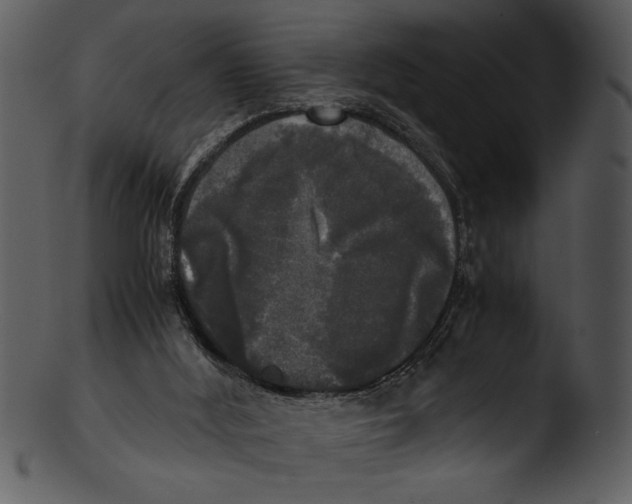 X0000103220012200809251146