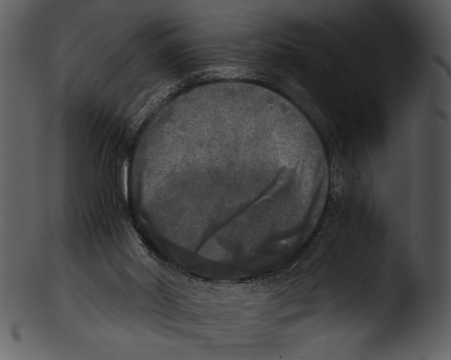 X0000103220014200809251146