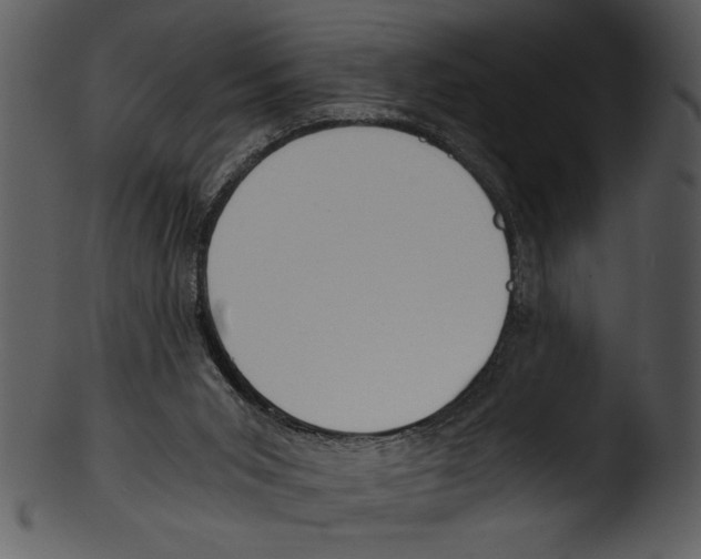 X0000103220015200809251146