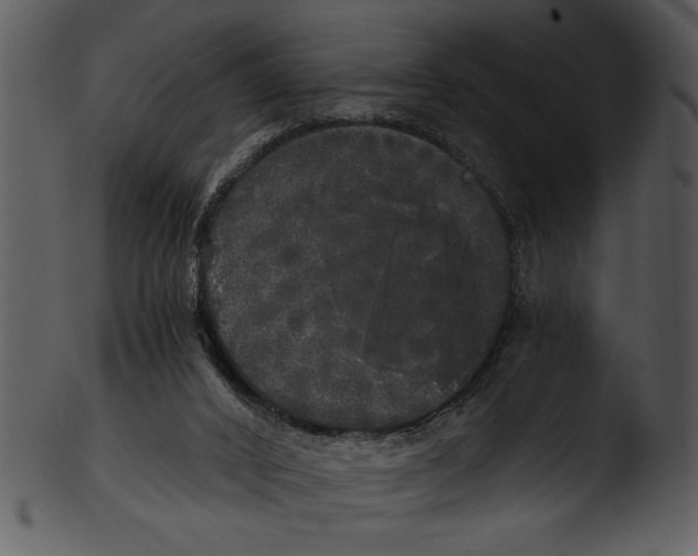 X0000103220016200809251146