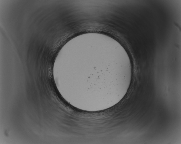 X0000103220017200809251146