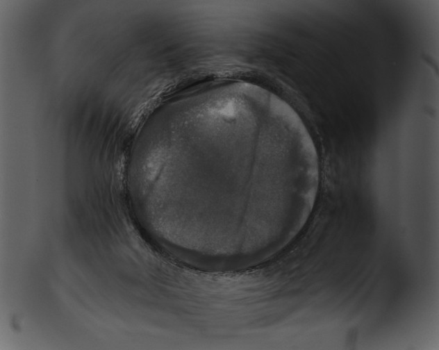 X0000103220018200809251146