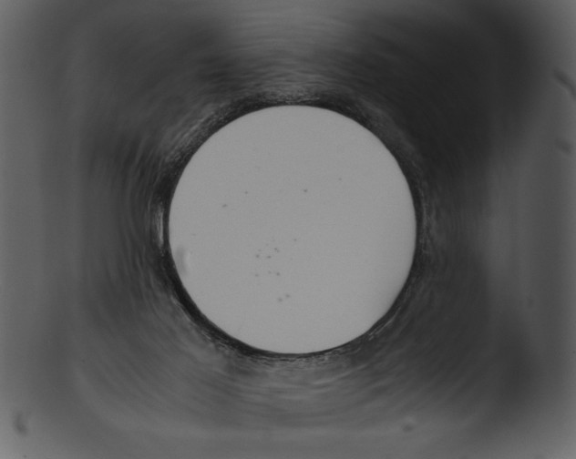 X0000103220021200809251146