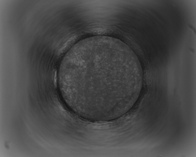 X0000103220024200809251146