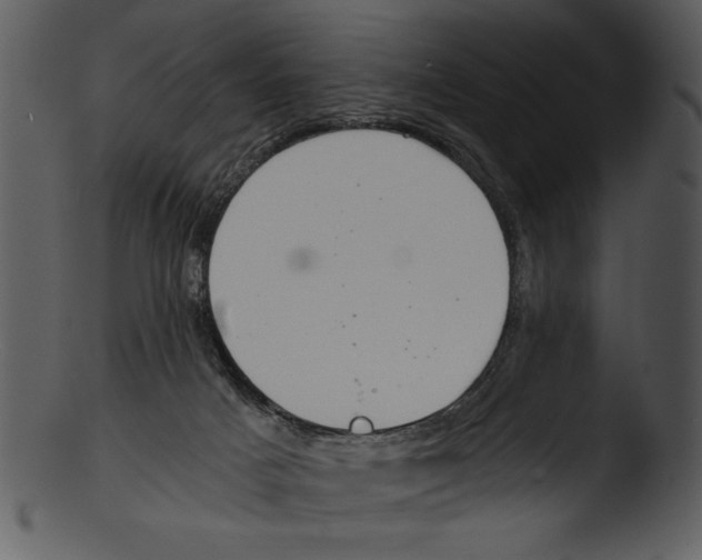 X0000103220025200809251146