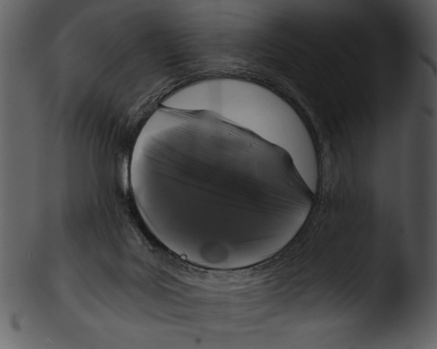 X0000103220027200809251146