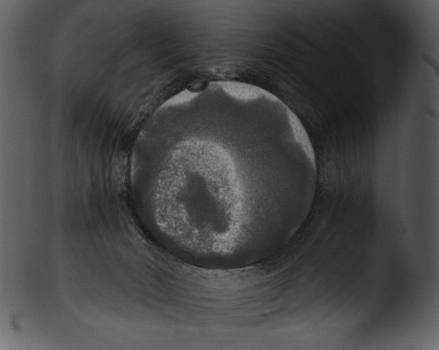 X0000103220030200809251146