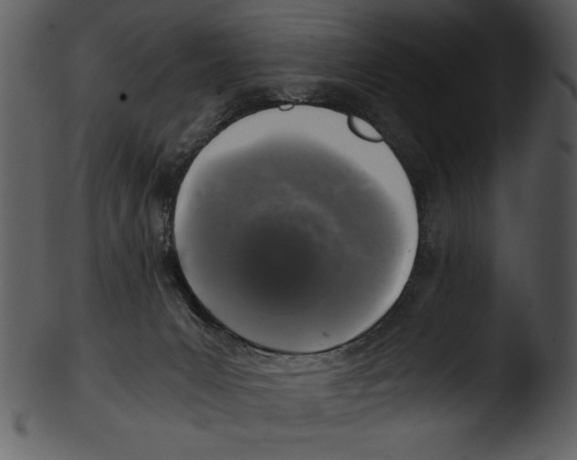 X0000103220031200809251146