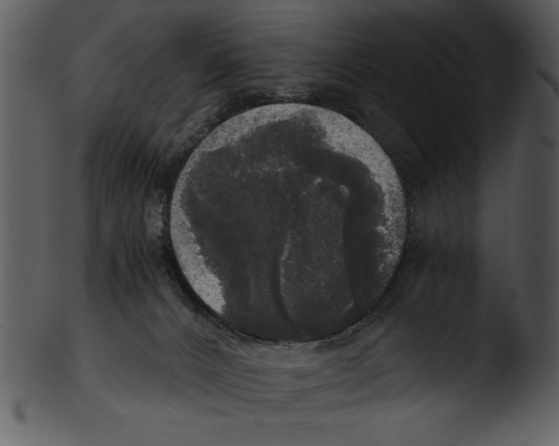 X0000103220032200809251146