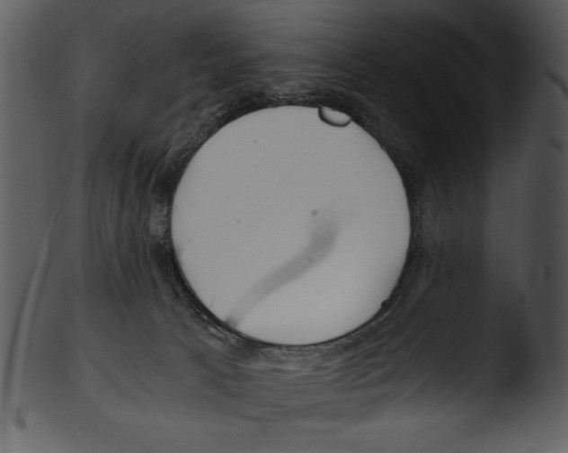 X0000103220033200809251146