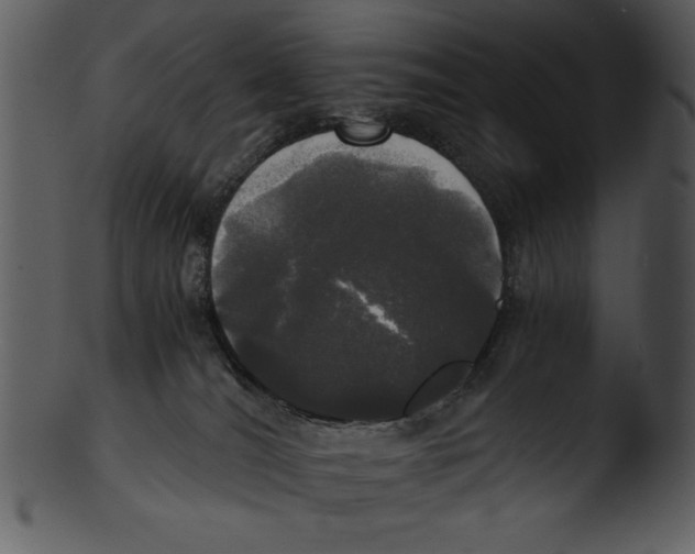 X0000103220036200809251146