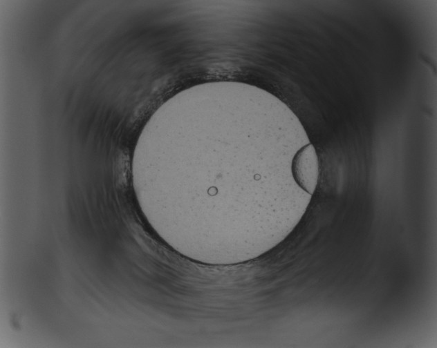 X0000103220038200809251146