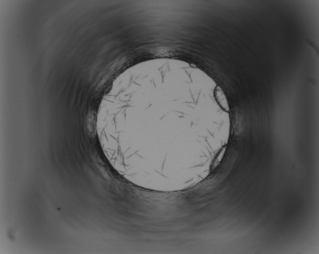 X0000103220044200809251146