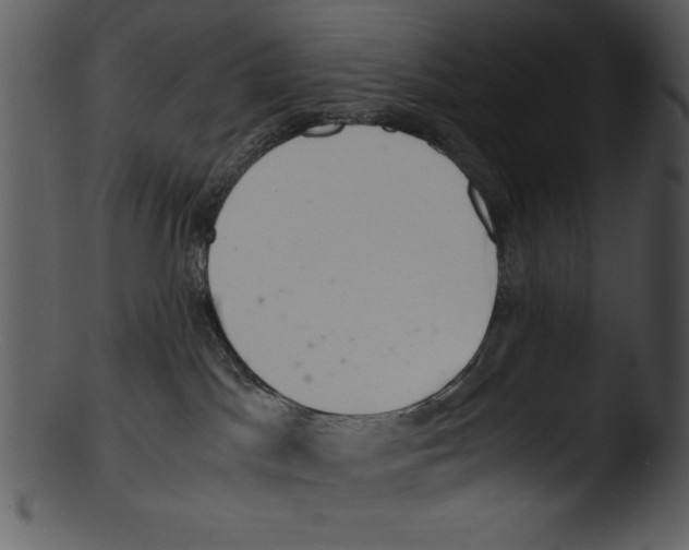 X0000103220045200809251146