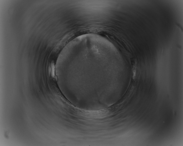 X0000103220046200809251146