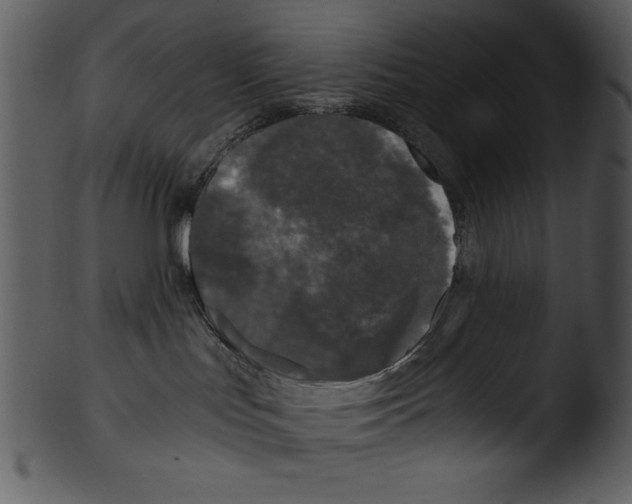 X0000103220047200809251146