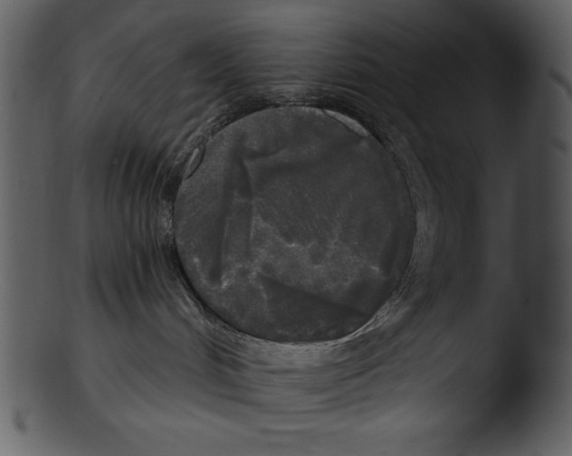 X0000103220048200809251146