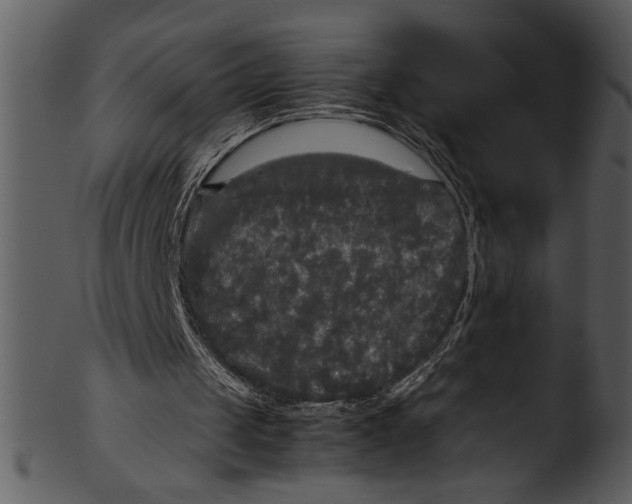 X0000103220049200809251145