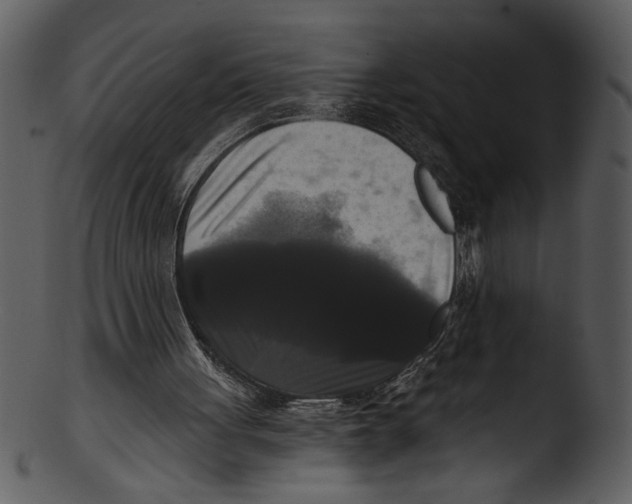 X0000103220051200809251145