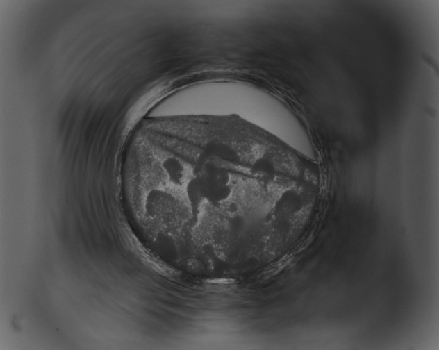 X0000103220053200809251145