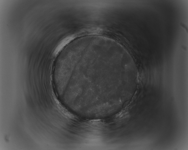 X0000103220054200809251145