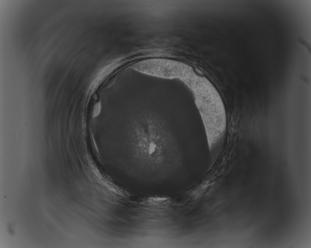 X0000103220055200809251145