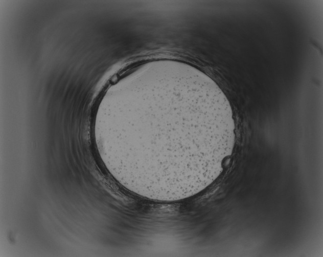 X0000103220056200809251145