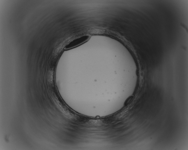 X0000103220057200809251145