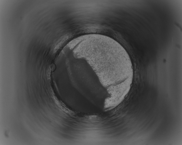 X0000103220058200809251145